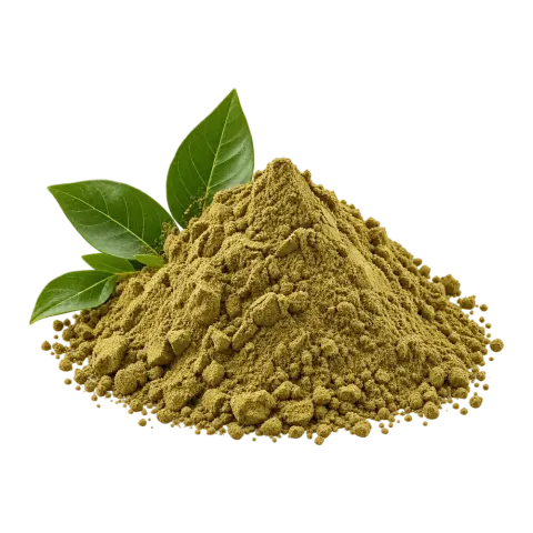 Henna powder with green henna leaves